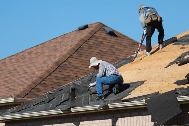 Best Roof Maintenance and Cleaning  in Cascade Chipita Park, CO